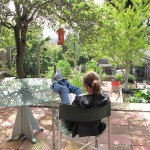 e. unterm Hummingbirdfeeder