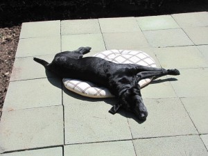 Aufstehen erst, wenn die Sonne keinen Schatten mehr wirft...