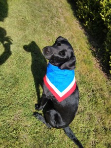 small_2013-07-04 16.53.16