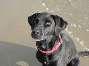 Lebt ohne Krankenversicherung und trotzdem unbesorgt: E.