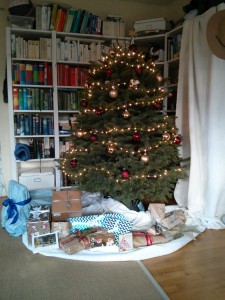 small_2014-12-24 15.53.29