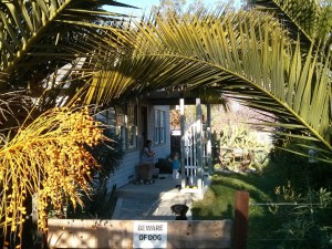 small_2015-03-18 17.57.38