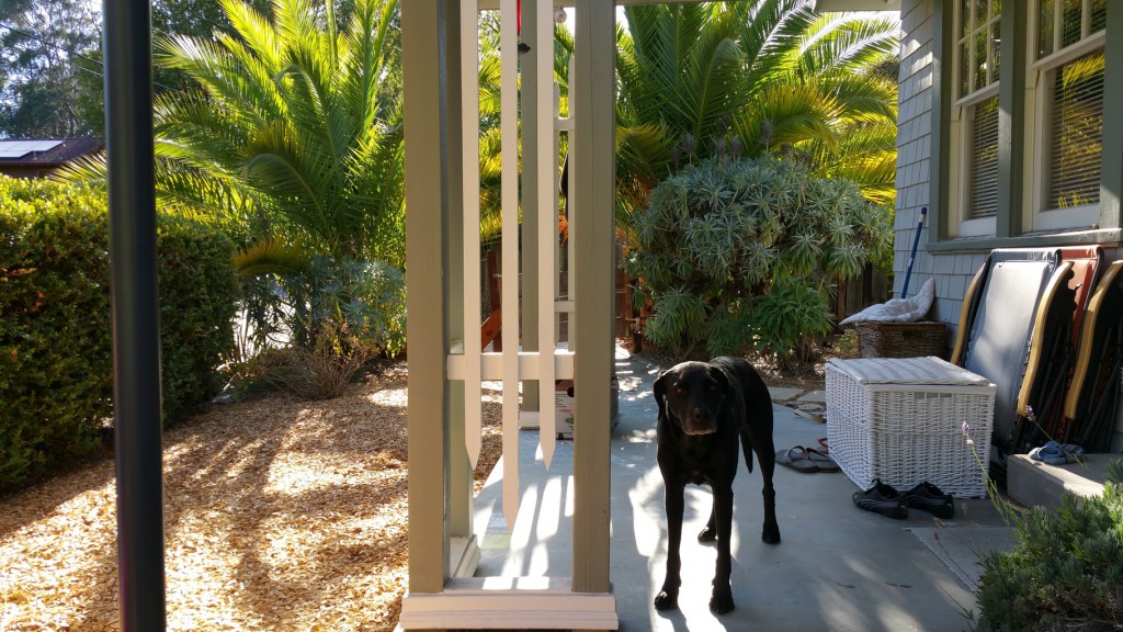 small_20150905_171846