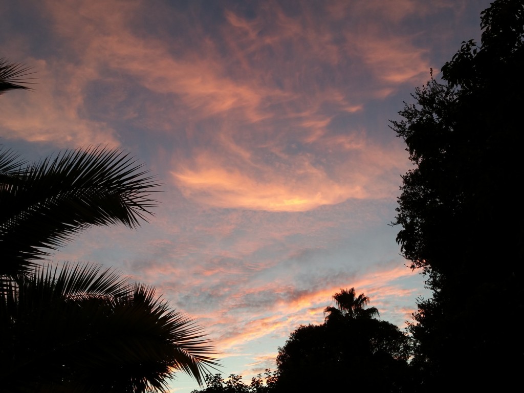 small_20150924_191351