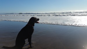 small_20151025_160402