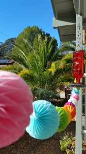 small_20151121_094538